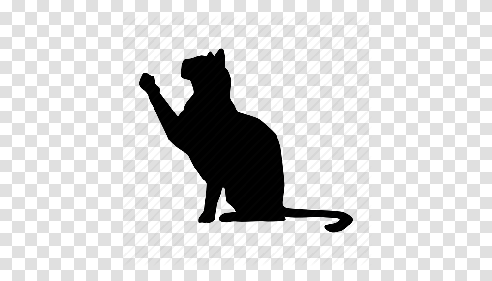 Cat Gato Pet Icon, Piano, Leisure Activities, Musical Instrument, Silhouette Transparent Png