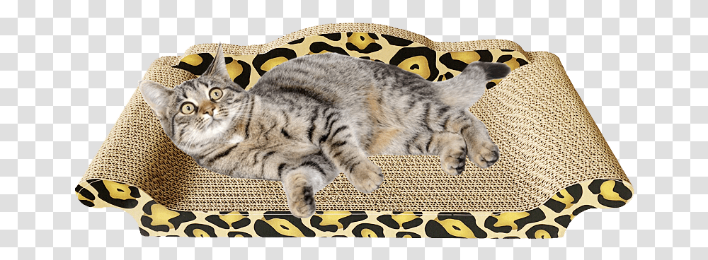 Cat Grab Board Pet Cat Toy Cat Sofa Cat Nest Corrugated Dragon Li, Mammal, Animal, Manx, Pillow Transparent Png