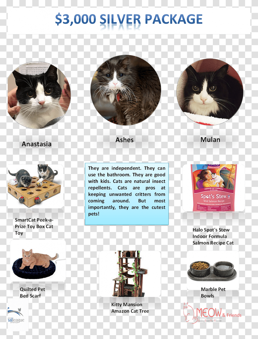 Cat Grabs Treat, Flyer, Poster, Advertisement, Animal Transparent Png