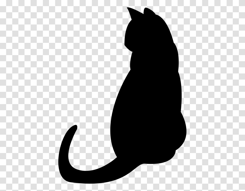 Cat Graphic Group With Items, Gray, World Of Warcraft Transparent Png