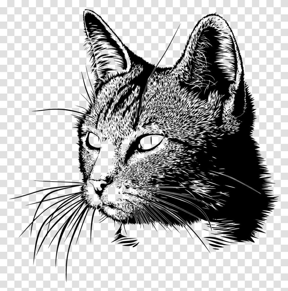 Cat Head Drawing Black And White Cat Drawing, Gray, World Of Warcraft Transparent Png