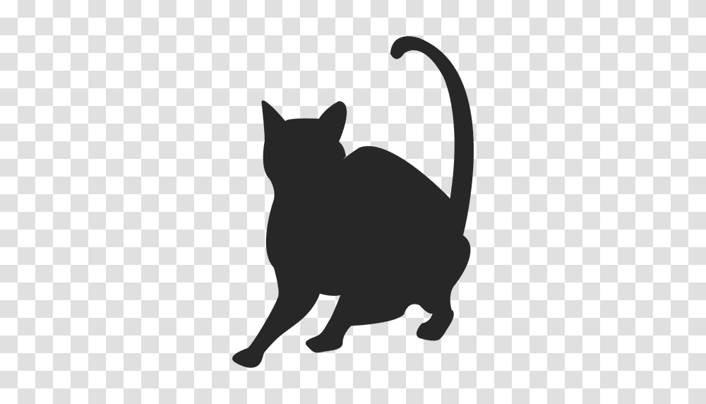 Cat Hunting, Pet, Mammal, Animal, Black Cat Transparent Png