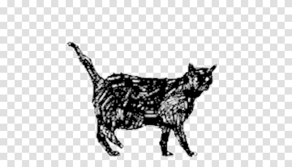 Cat Icon, Mammal, Animal, Wildlife, Wolf Transparent Png