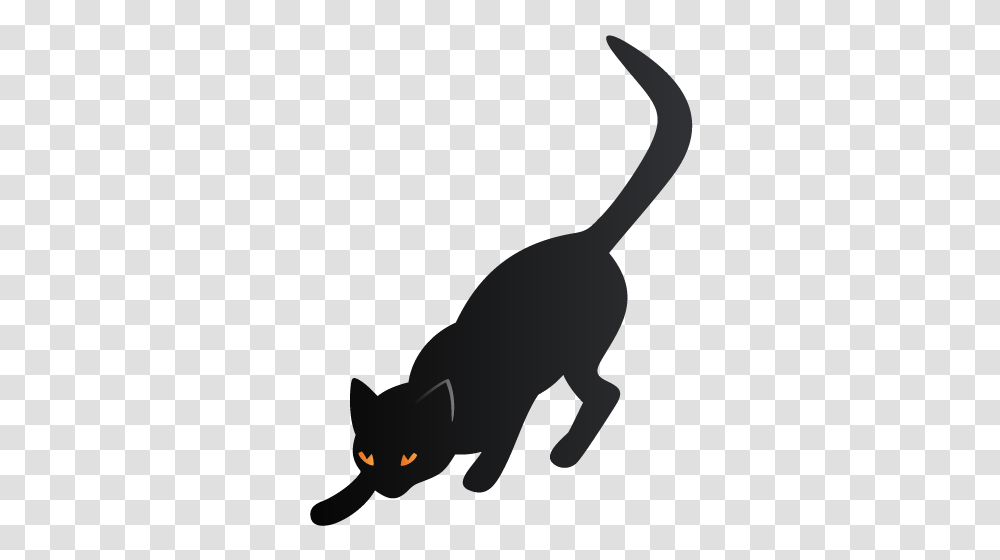 Cat Icons, Animal, Mammal, Silhouette, Reptile Transparent Png