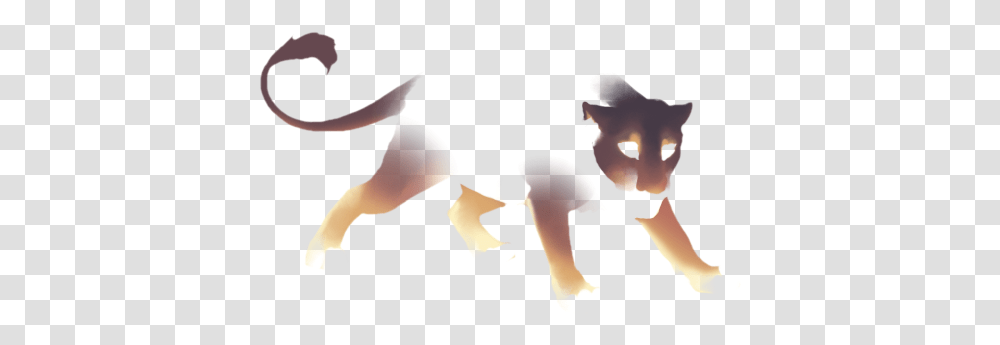 Cat Jumps, Person, Silhouette, Crowd, People Transparent Png