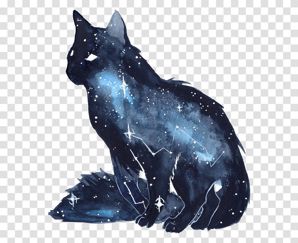 Cat Kitten Galaxy Watercolor Space Stars Freetoedit Galaxy Watercolor Cat, Crystal, Animal, Mineral, Quartz Transparent Png