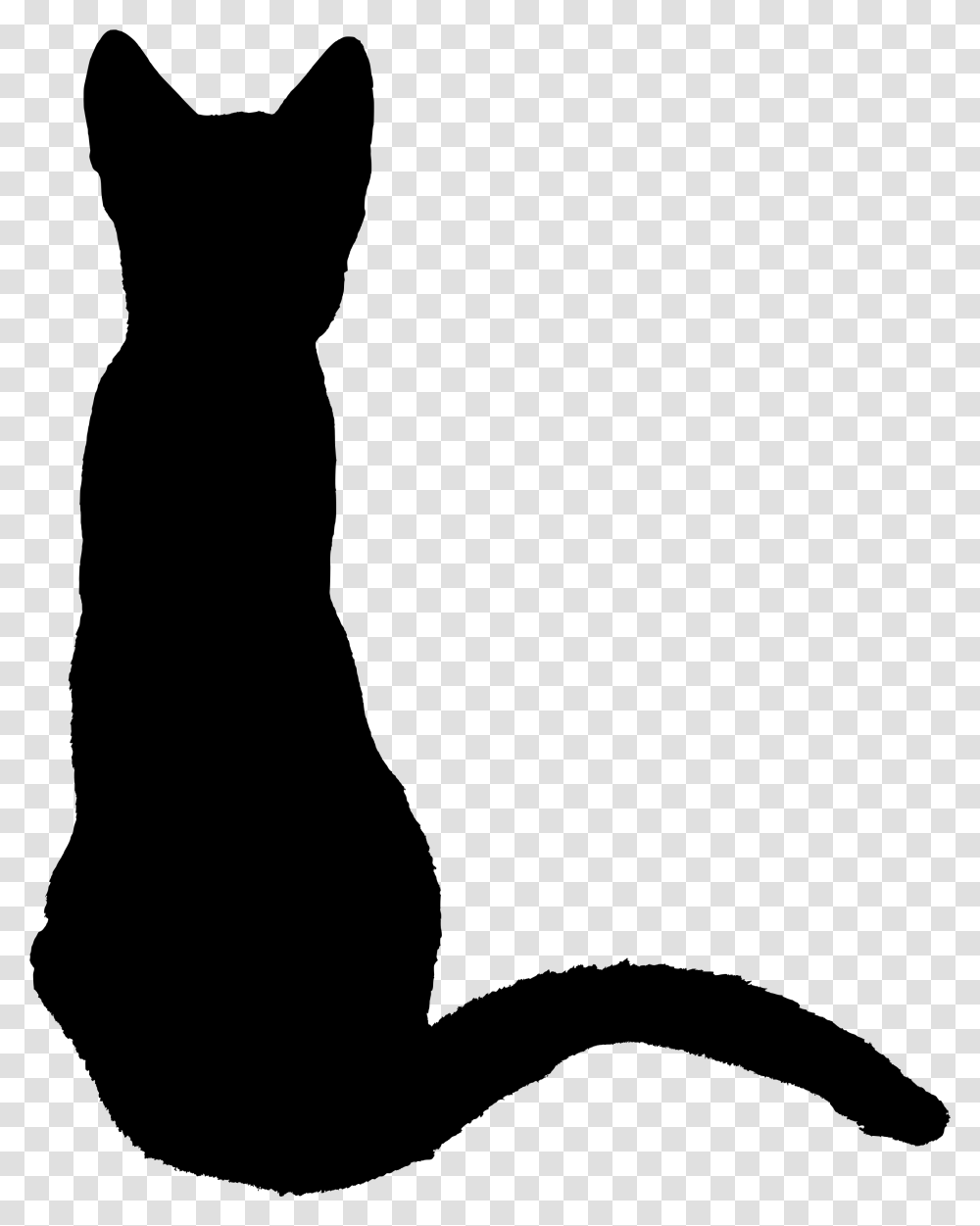 Cat Kitten Silhouette Drawing Black Cat Sitting Back, Gray, World Of Warcraft, Halo Transparent Png