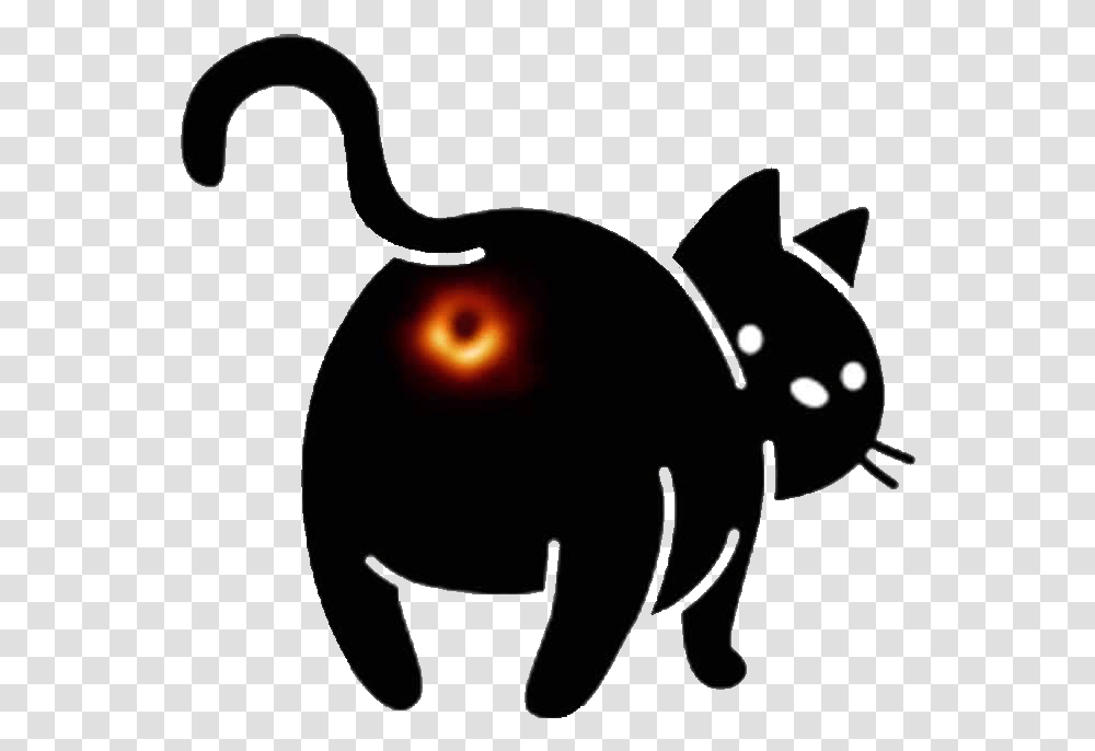 Cat Kitty Feline Sihlouette Black Blackhole Funny Black Hole Cat Meme, Plant, Bowling, Fruit, Food Transparent Png