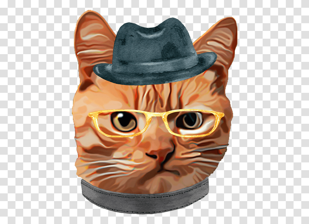 Cat Kitty Kitten In Clothes Yellow Glasses Gangster Hat Baseball T Shirt Hat, Clothing, Person, Head, Accessories Transparent Png