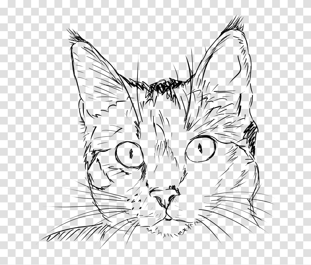 Cat Linedrawing, Animals, Gray, World Of Warcraft Transparent Png