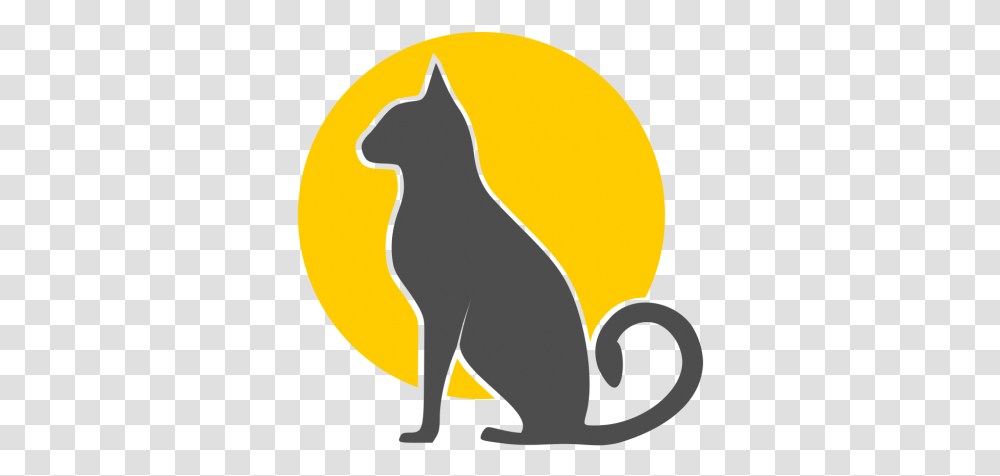 Cat Logo 5 Image Logo, Pet, Mammal, Animal, Black Cat Transparent Png