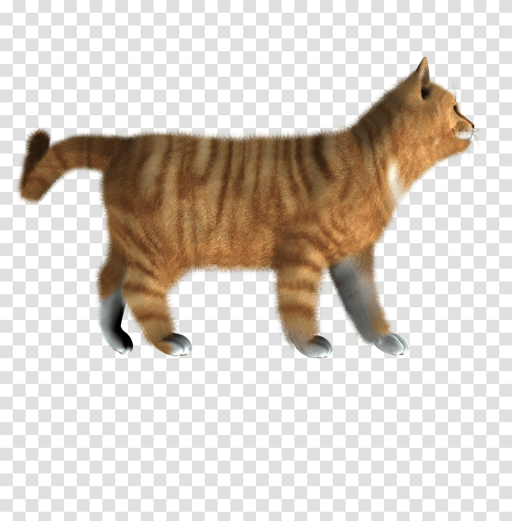 Cat Logo Cat Side View, Pet, Mammal, Animal, Manx Transparent Png