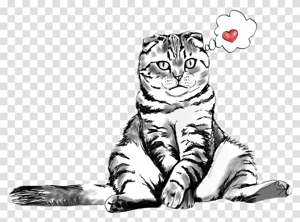 Cat Love Sitting Kitty Drawing Sticker Soft, Tiger, Wildlife, Mammal, Animal Transparent Png