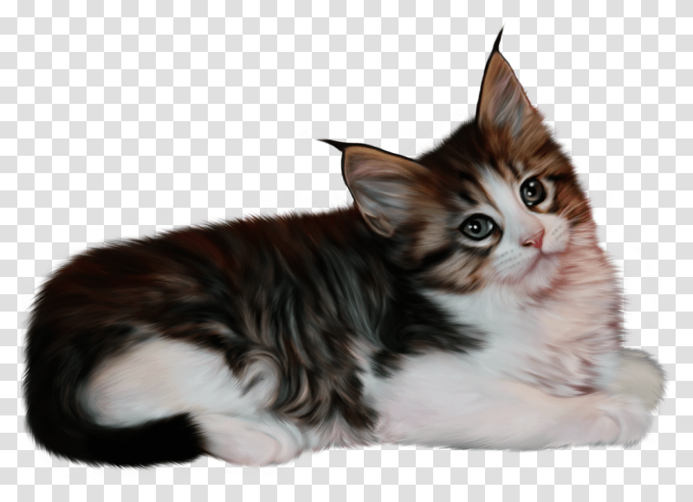 Cat Majskij Privet, Kitten, Pet, Mammal, Animal Transparent Png