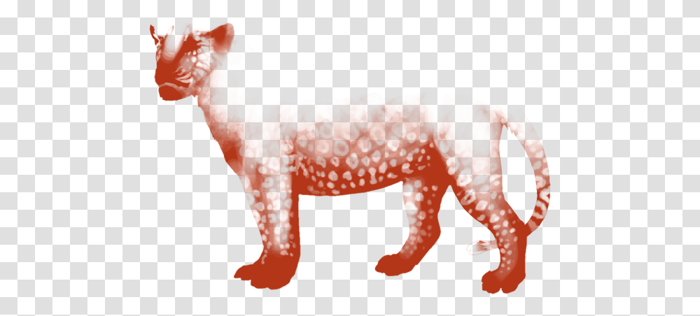 Cat, Mammal, Animal, Person, Human Transparent Png