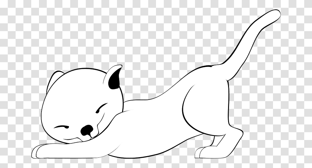 Cat, Mammal, Animal, Plush, Toy Transparent Png