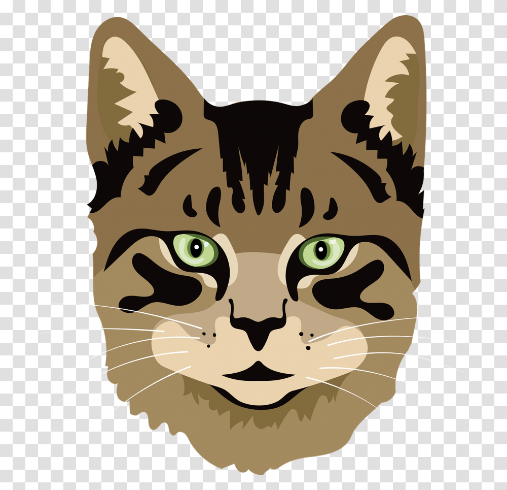 Cat Meow Kitten, Pet, Mammal, Animal, Abyssinian Transparent Png