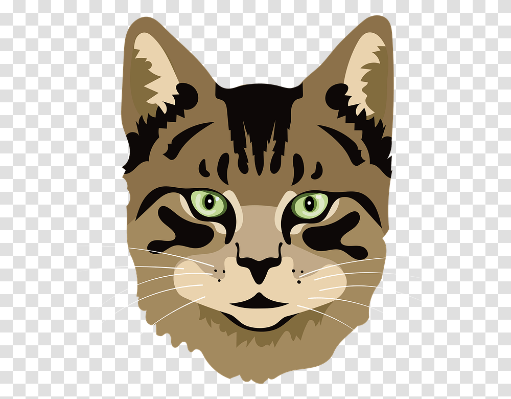Cat Meowing Graphic, Pet, Mammal, Animal, Abyssinian Transparent Png