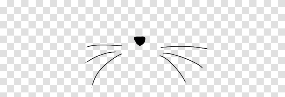 Cat Nose Bigote Nariz Gato, Bow, Accessories Transparent Png