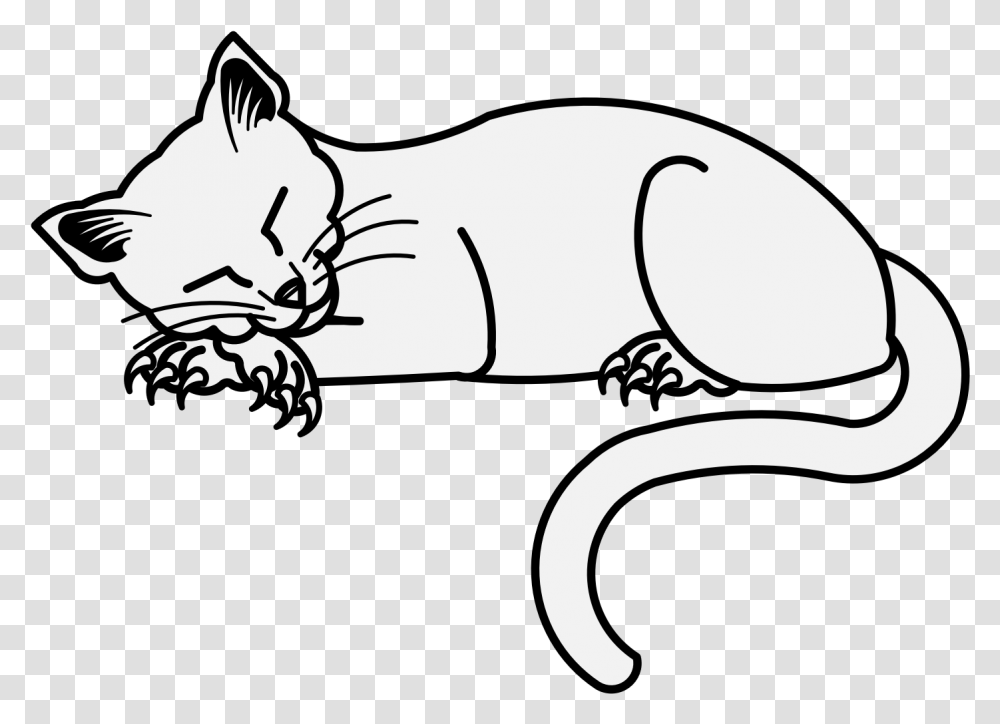 Cat Nose Cartoon, Mammal, Animal, Wildlife, Rodent Transparent Png