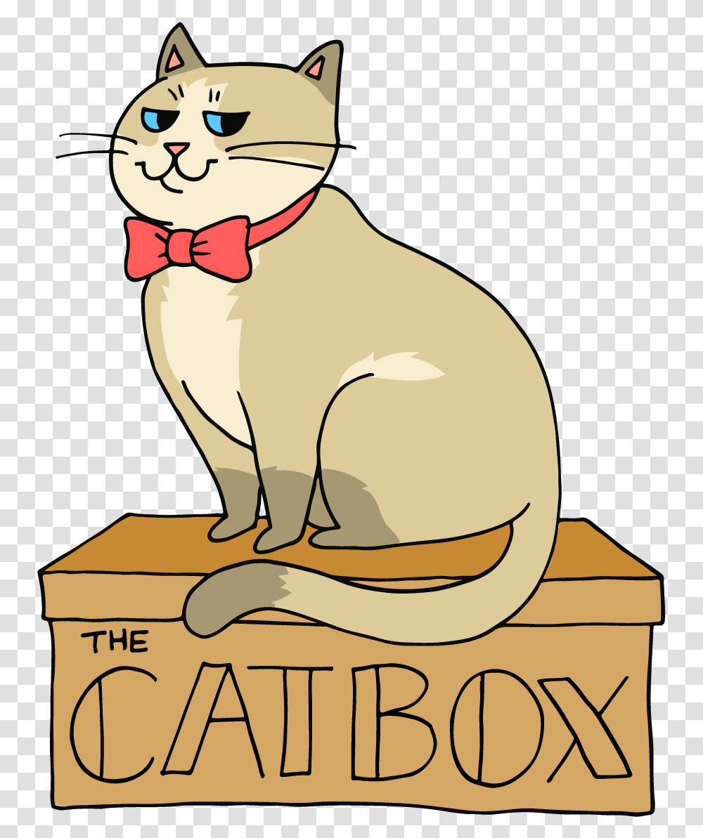 Cat On The Box, Pet, Mammal, Animal, Abyssinian Transparent Png