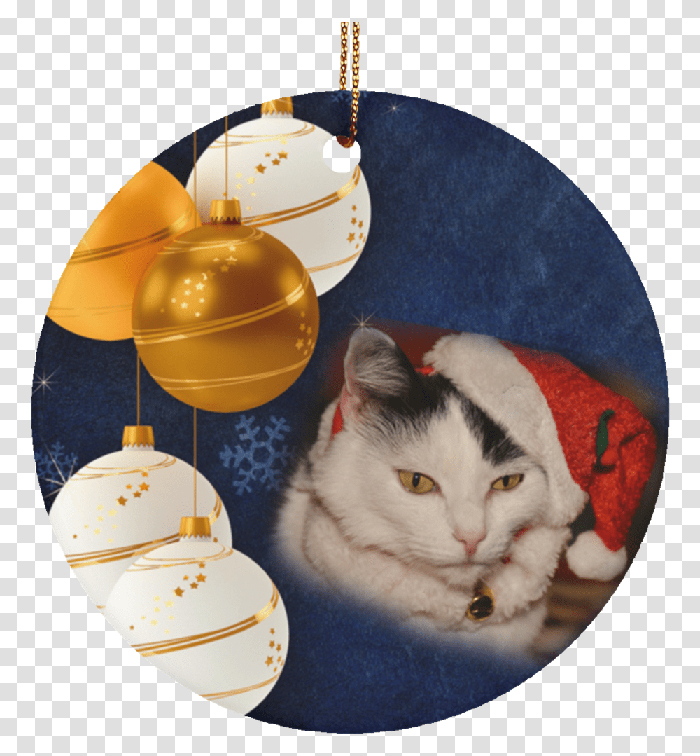 Cat Ornaments Black And Not Christmas Yet Still November, Pet, Mammal, Animal, Sphere Transparent Png