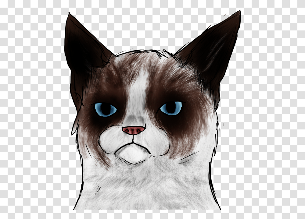 Cat, Person, Drawing, Animal Transparent Png