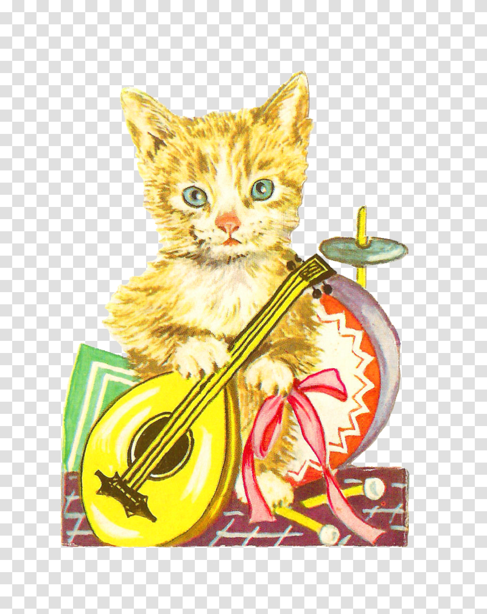 Cat, Pet, Mammal, Animal Transparent Png