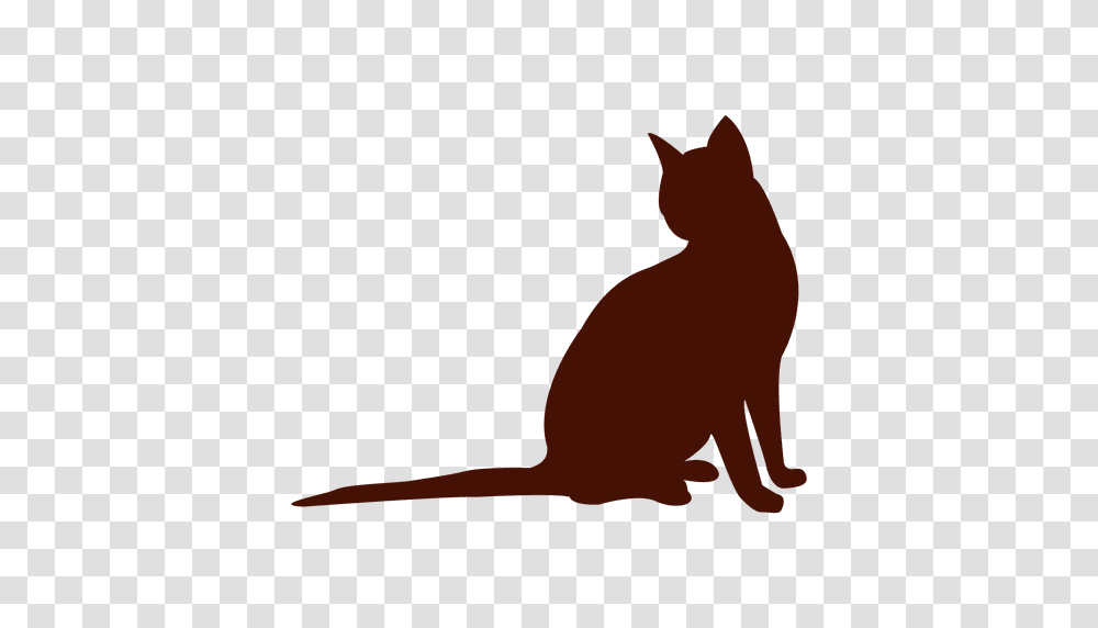 Cat Pet Silhouette Sitting, Animal, Mammal, Black Cat Transparent Png