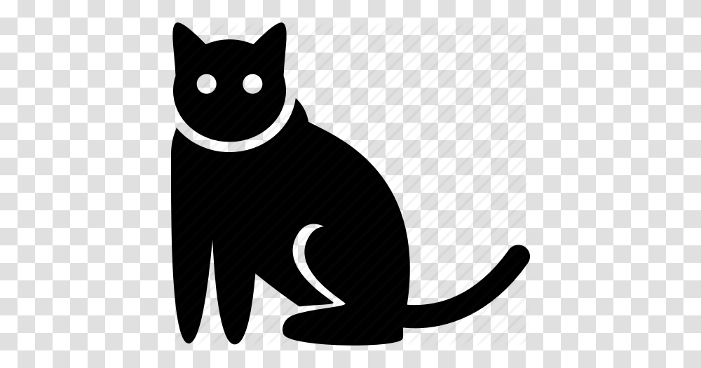 Cat Pet Sitting Icon, Piano, Leisure Activities, Musical Instrument, Animal Transparent Png