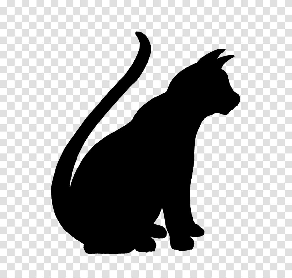 Cat Pet Sitting Kitten Silhouette Clip Art, Gray, World Of Warcraft Transparent Png