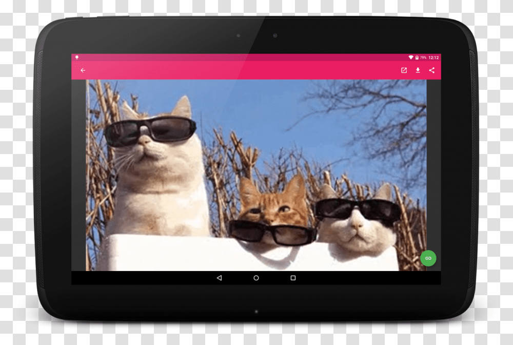 Cat Puts On Sunglasses Gif, Screen, Electronics, Monitor, Animal Transparent Png