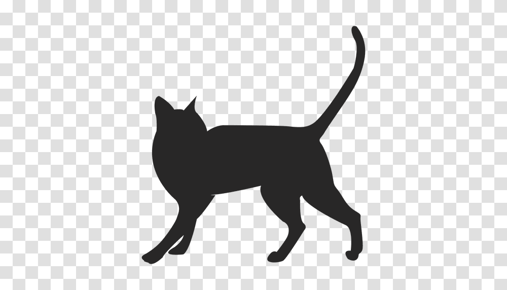 Cat Running, Silhouette, Pet, Animal, Mammal Transparent Png