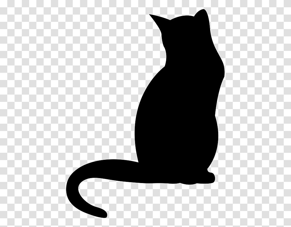 Cat Shadow Clipart Clip Art Images, Silhouette, Pet, Animal, Mammal Transparent Png