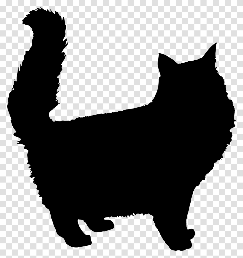 Cat Silhouette Background, Gray, World Of Warcraft Transparent Png