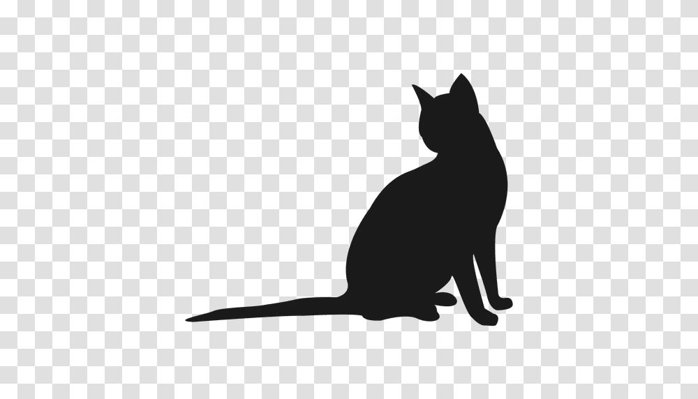 Cat Silhouette, Black Cat, Pet, Mammal, Animal Transparent Png