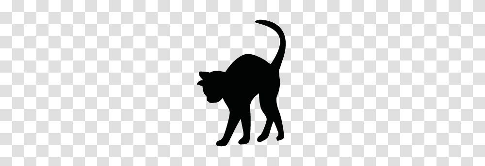 Cat Silhouette Clipart Free Clipart, Animal Transparent Png