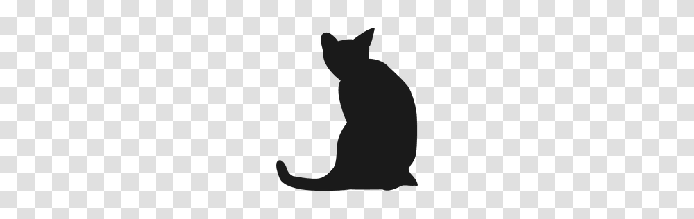 Cat Silhouette Clipart Free Clipart, Pet, Mammal, Animal, Black Cat Transparent Png