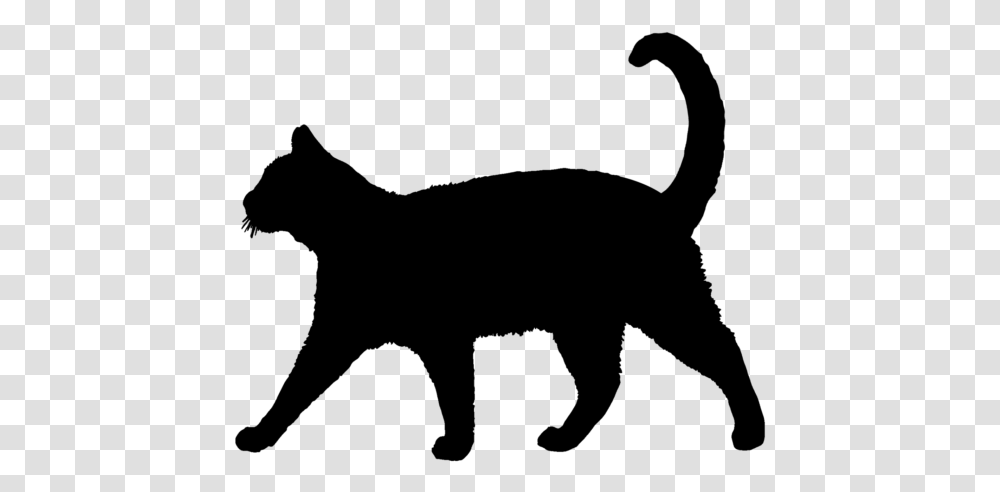 Cat Silhouette Clipart Graphic Freeuse Library Cat Cat Silhouette, Gray, World Of Warcraft Transparent Png