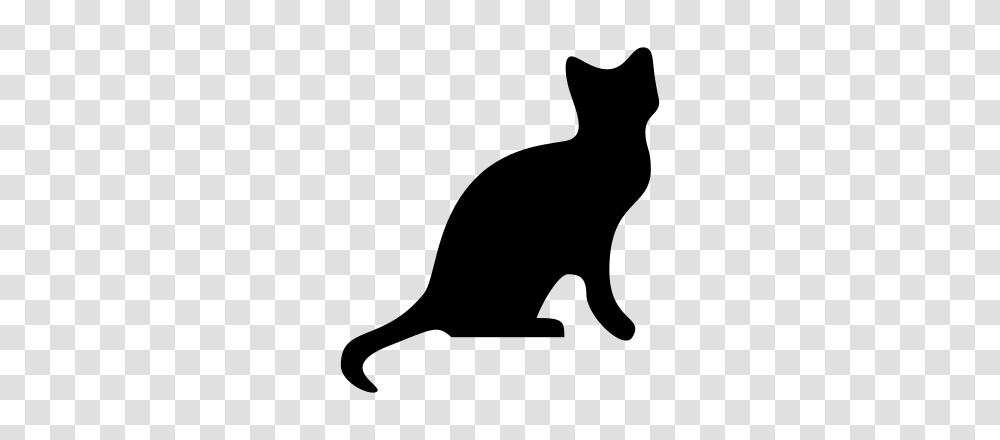 Cat Silhouette, Gray, World Of Warcraft Transparent Png