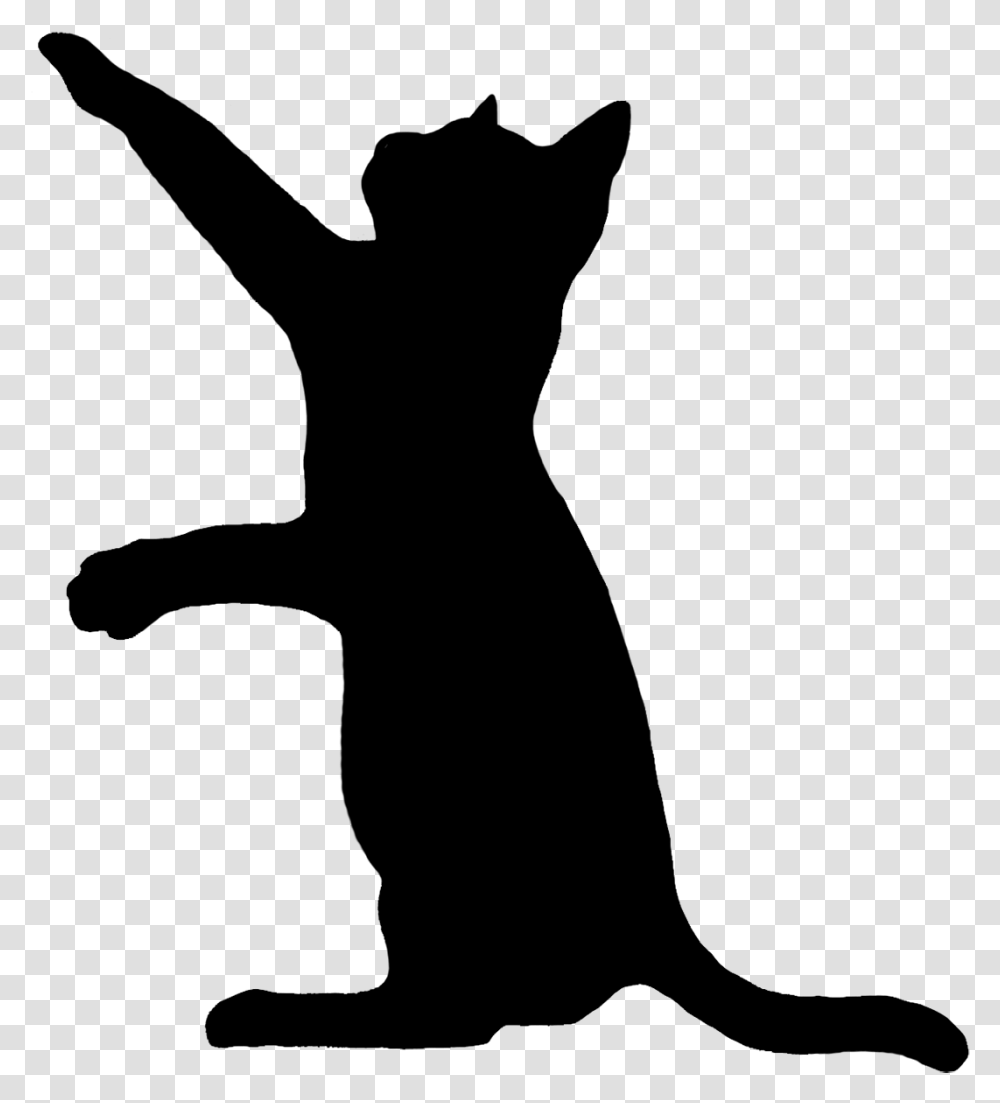 Cat Silhouette, Gray, World Of Warcraft Transparent Png
