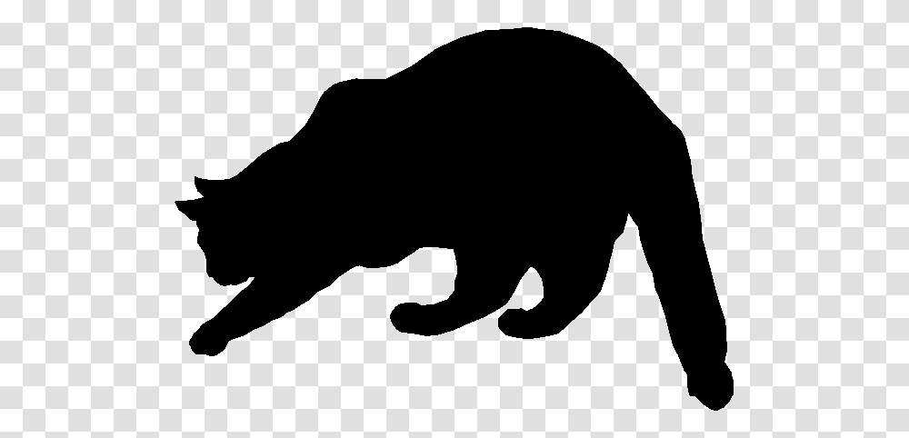 Cat Silhouette, Mammal, Animal, Wildlife, Black Bear Transparent Png