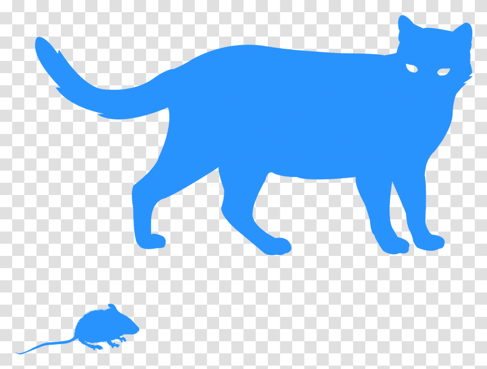 Cat Silhouette, Mammal, Animal, Wildlife, Buffalo Transparent Png