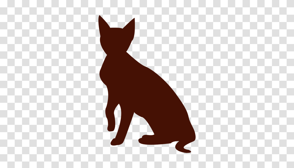 Cat Silhouette Pet, Mammal, Animal, Black Cat, Horse Transparent Png