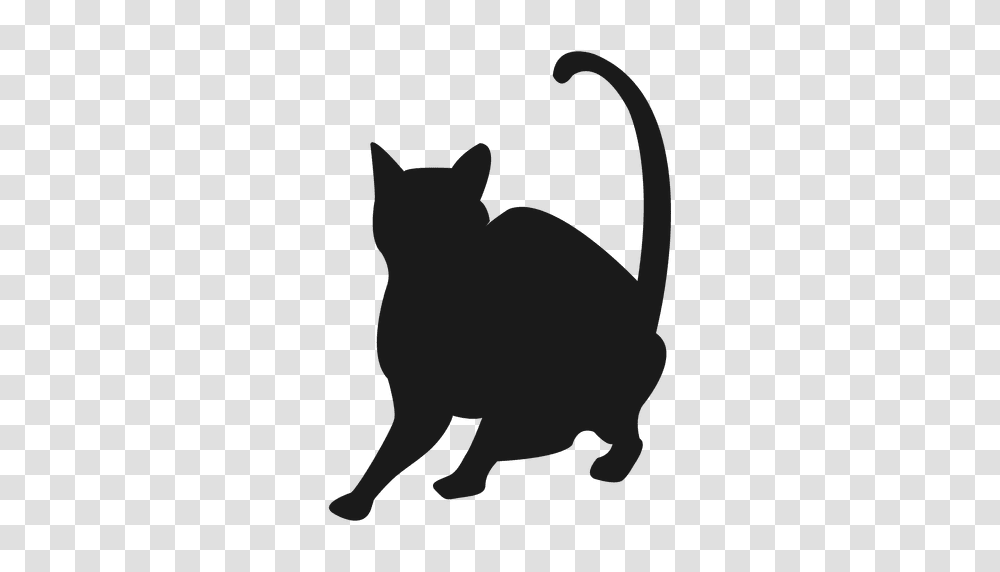 Cat Silhouette, Pet, Mammal, Animal, Black Cat Transparent Png