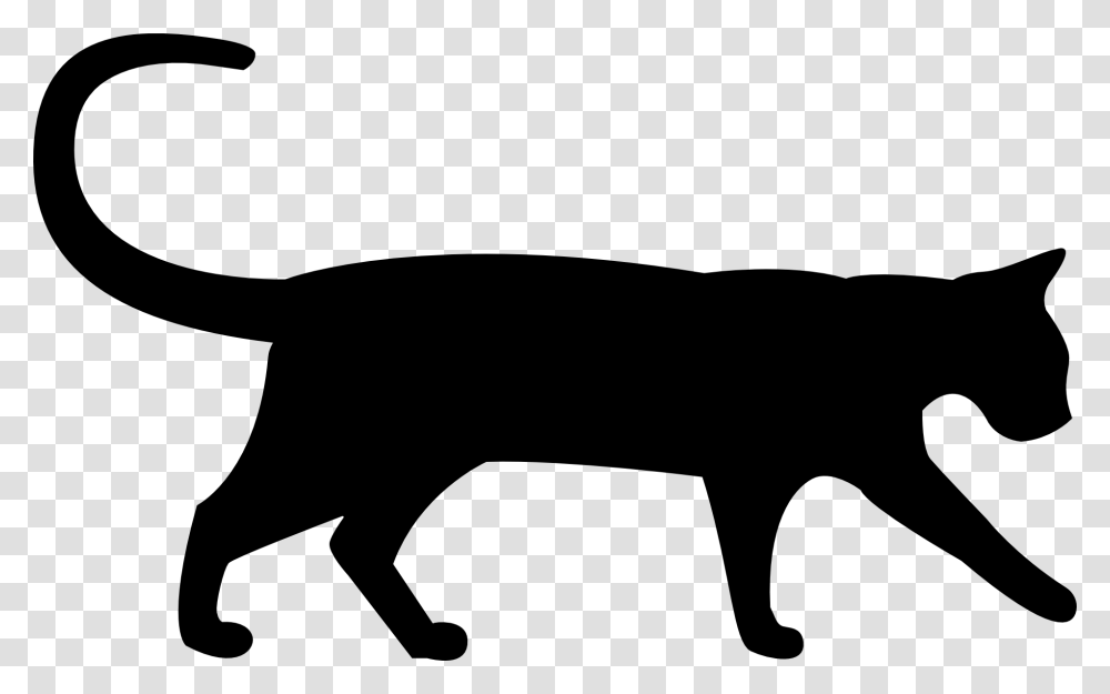 Cat Silhouette Pictures At Ombre De Chat Dessin, Animal, Mammal, Pet, Black Cat Transparent Png