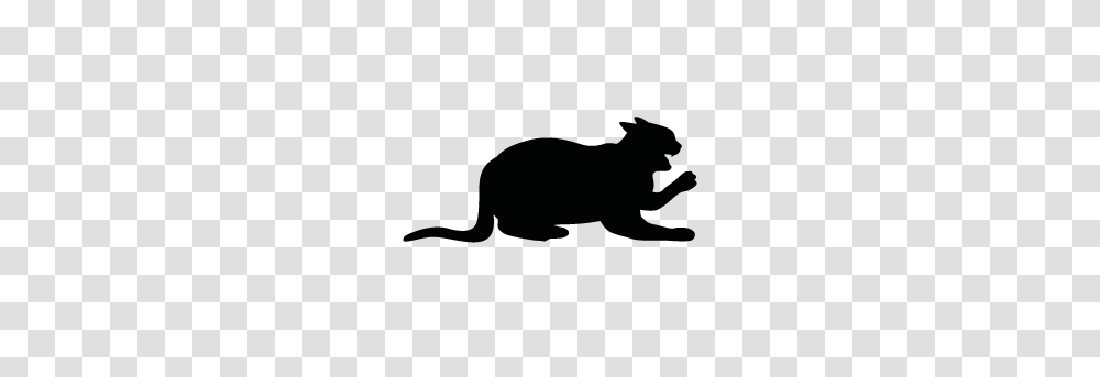 Cat Silhouette Silhouette Of Cat, Mammal, Animal, Wildlife, Lion Transparent Png