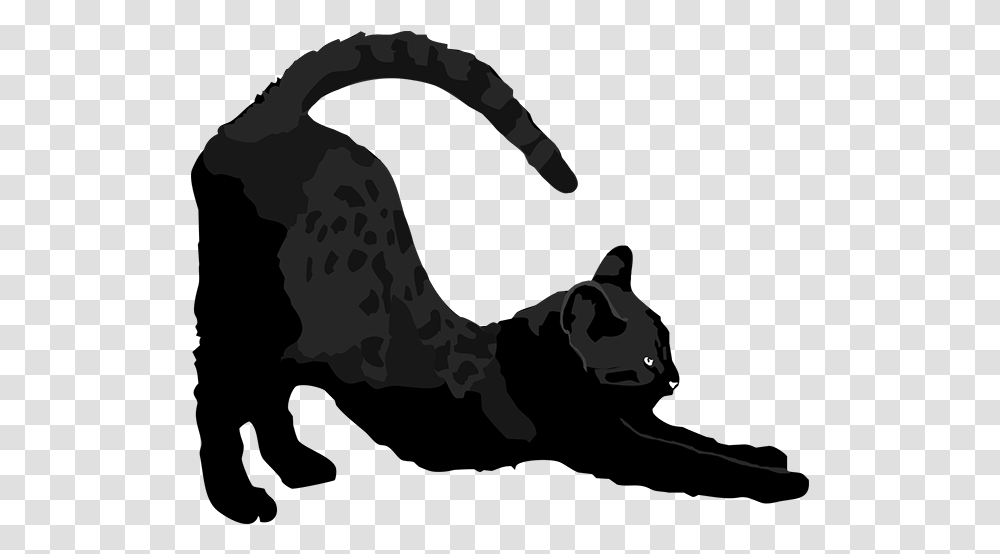 Cat Silhouette Stretching, Animal, Mammal, Dragon, Reptile Transparent Png