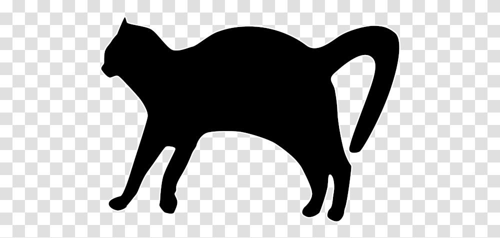Cat Silhouette2 Black Cat, Mammal, Animal, Label Transparent Png