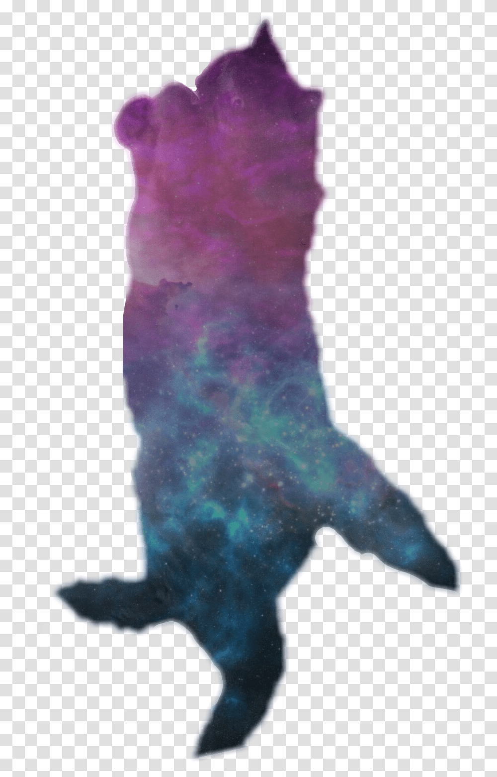 Cat Space Cats Funnycats Watercolor Paint, Nature, Outdoors, Jewelry, Accessories Transparent Png